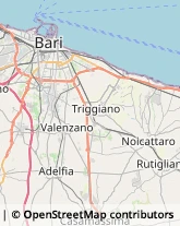 Aziende Agricole Bari,70100Bari