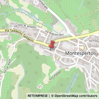 Mappa Via Giuseppe Verdi, 34, 50025 Montespertoli, Firenze (Toscana)