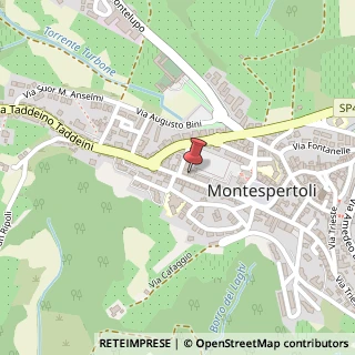 Mappa Via Taddeino Taddeini, 50, 50025 Montespertoli, Firenze (Toscana)