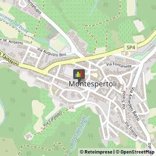 Assicurazioni Montespertoli,50025Firenze