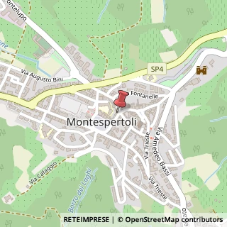 Mappa Via Roma, 8, 50025 Montespertoli, Firenze (Toscana)