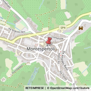 Mappa Via Roma, 5, 50025 Montespertoli, Firenze (Toscana)