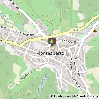 Feste - Organizzazione e Servizi Montespertoli,50025Firenze