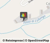 Aziende Agricole,52036Arezzo