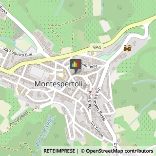 Commercialisti Montespertoli,50025Firenze