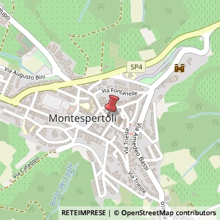 Mappa Via Guido Martini, 29, 50025 Montespertoli, Firenze (Toscana)