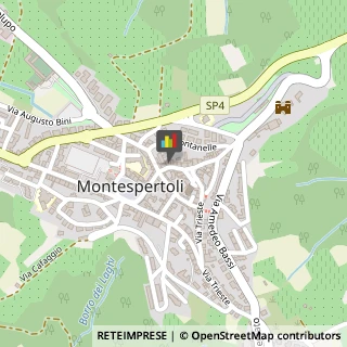 Corrieri Montespertoli,50025Firenze