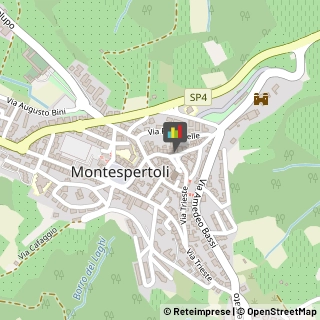 Fiere, Saloni e Mostre - Enti Organizzatori Montespertoli,50025Firenze