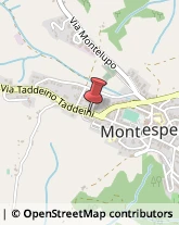 Via Taddeino Taddeini, 89,50025Montespertoli