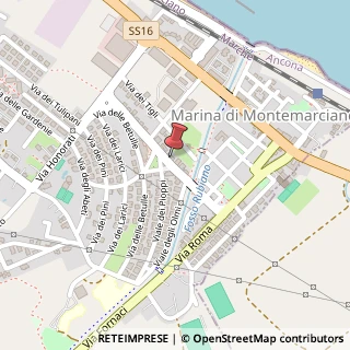 Mappa Viale dei Platani, 14, 60018 Montemarciano, Ancona (Marche)