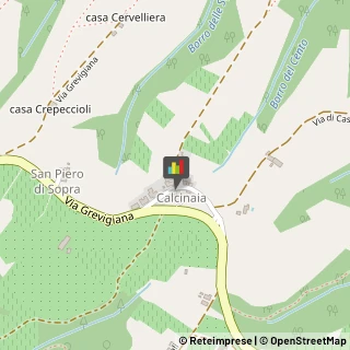 Lavori Agricoli e Forestali San Casciano in Val di Pesa,50026Firenze