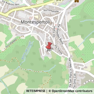 Mappa Via delle Orchidee, 4, 50025 Montespertoli, Firenze (Toscana)