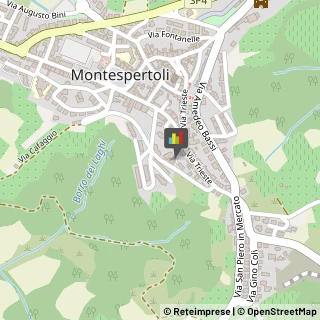 Tappezzieri Montespertoli,50025Firenze