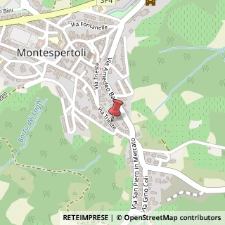 Mappa Via Trieste, 141, 50025 Montespertoli, Firenze (Toscana)