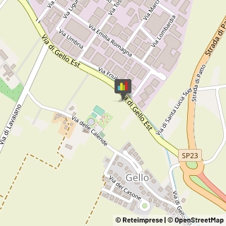 Gas, Metano e Gpl in Bombole e per Serbatoi - Dettaglio,56025Pisa