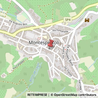 Mappa Viale Giacomo Matteotti, 3, 50025 Montespertoli, Firenze (Toscana)