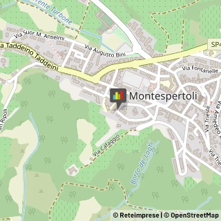 Centri di Benessere Montespertoli,50025Firenze