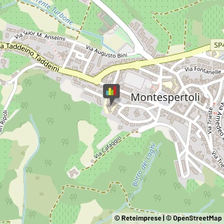 Sport - Scuole Montespertoli,50025Firenze