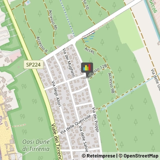 Bed e Breakfast,56128Pisa
