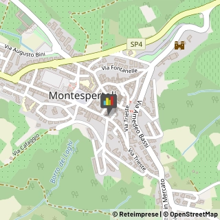 Caseifici Montespertoli,50025Firenze