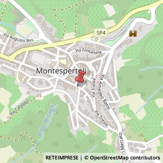 Mappa Viale Giacomo Matteotti,  27, 50121 Montespertoli, Firenze (Toscana)