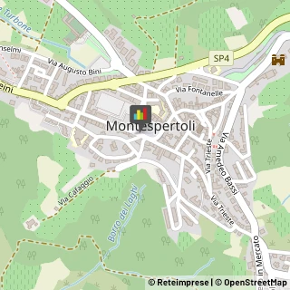 Forni Industriali Montespertoli,50025Firenze