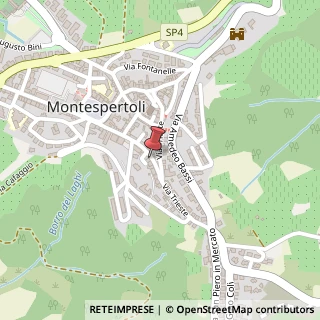 Mappa Viale Giacomo Matteotti, 92, 50025 Montespertoli, Firenze (Toscana)