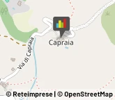 Aceto Reggello,52020Firenze