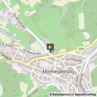 Complessi Musicali e Artistici Montespertoli,50025Firenze