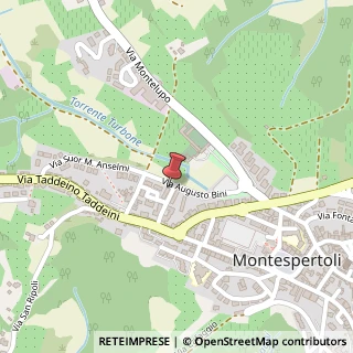 Mappa Via Augusto Bini, 29, 50025 Montespertoli, Firenze (Toscana)
