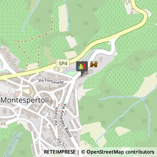 Enoteche Montespertoli,50025Firenze