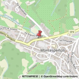 Mappa Viale Risorgimento, 63, 50025 Montespertoli FI, Italia, 50025 Montespertoli, Firenze (Toscana)