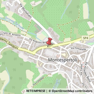 Mappa Viale del Risorgimento, 46, 50025 Montespertoli, Firenze (Toscana)