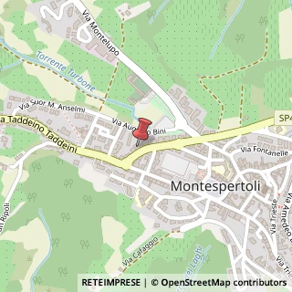 Mappa Viale del Risorgimento, 19, 50025 Montespertoli, Firenze (Toscana)