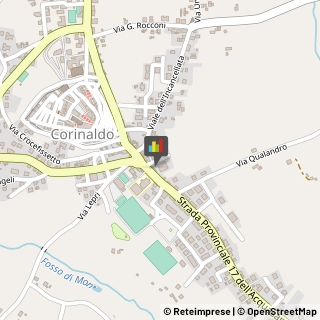 Cooperative e Consorzi Corinaldo,60013Ancona