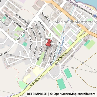 Mappa Via delle Betulle, 15, 60018 Montemarciano, Ancona (Marche)