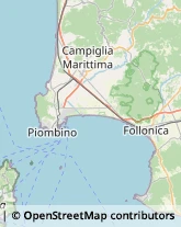 Centri di Benessere Campiglia Marittima,57021Livorno