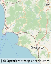 Agenzie di Animazione e Spettacolo Castiglione della Pescaia,58043Grosseto