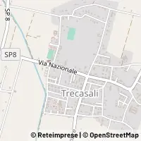 Map Trecasali