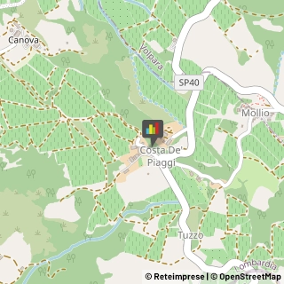 Giardinaggio - Servizio,<a href=
