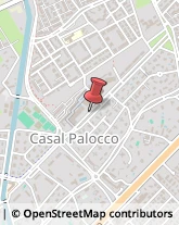 Viale Prassilla, 41,00124Roma