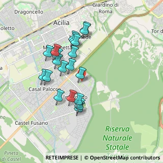 Mappa Via Carlo Pedrotti, 00124 Roma RM, Italia (1.751)
