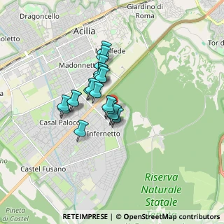 Mappa Via Carlo Pedrotti, 00124 Roma RM, Italia (1.264)