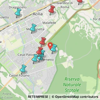 Mappa Via Carlo Pedrotti, 00124 Roma RM, Italia (2.29818)