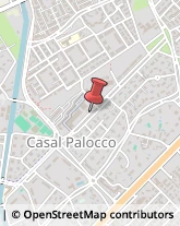 Viale Prassilla, 43/A,00124Roma