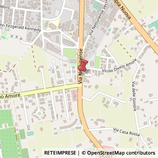 Mappa Via Nettunense, 47, 00047 Marino, Roma (Lazio)
