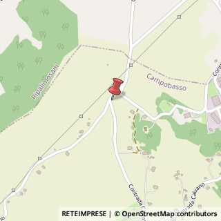 Mappa Contrada Calvario, 31, 86100 Campobasso, Campobasso (Molise)