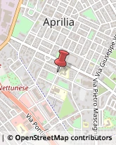 Via delle Palme, 22,04011Aprilia