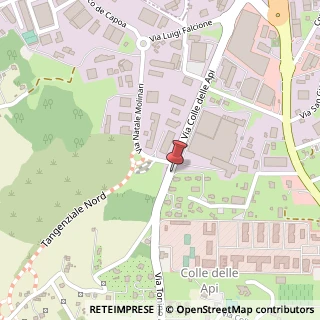 Mappa Via Colle delle Api, 47, 86100 Campobasso, Campobasso (Molise)