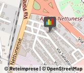 Baby Sitters - Servizio Aprilia,04011Latina